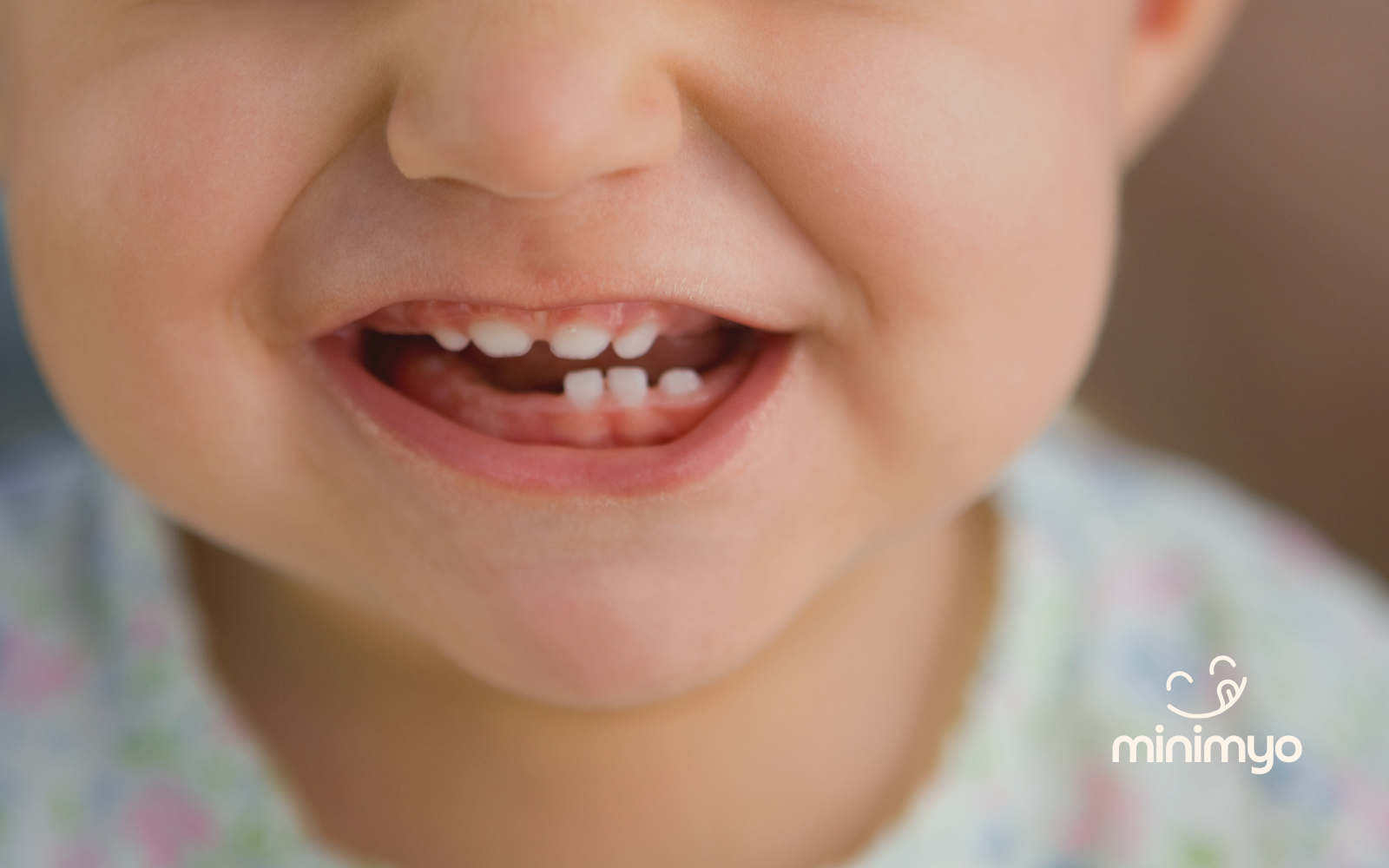 Tandfrembrud – hvornår kommer tænderne?